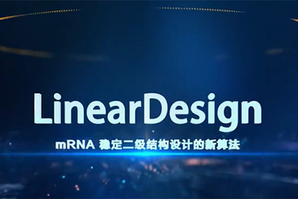 暢談mRNA技術(shù)全流程4： 為什么梁山的一百單八將要排座次？ 談?wù)刴RNA序列優(yōu)化