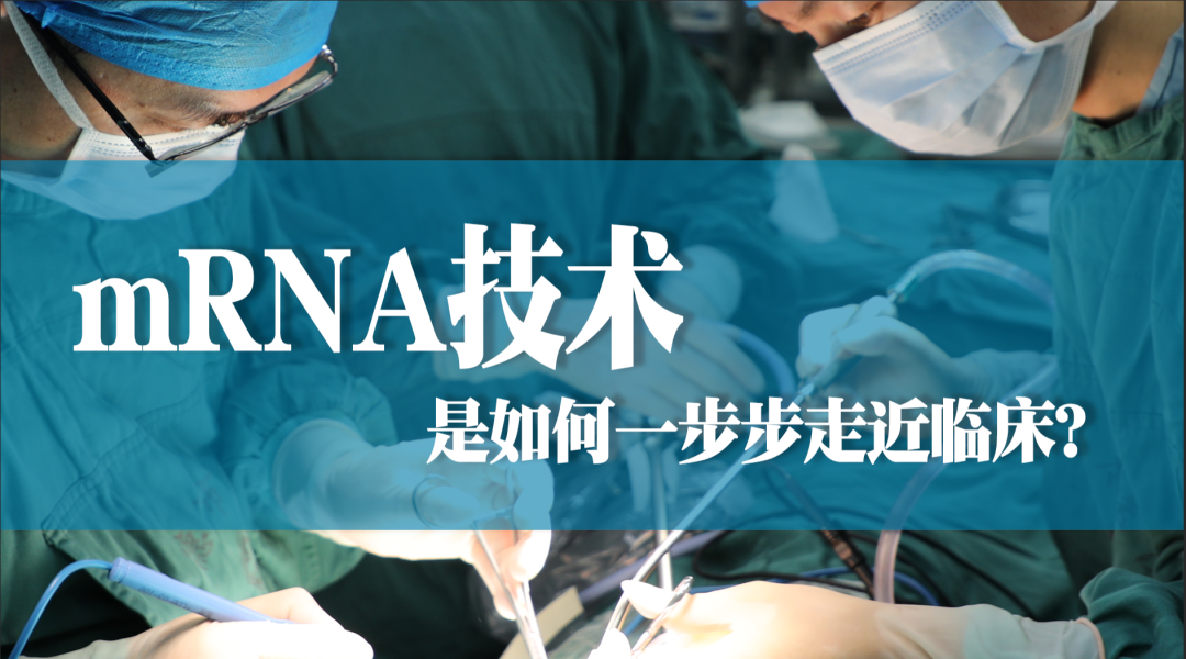 被列為2021年“全球十大突破性技術(shù)”名單榜首的mRNA技術(shù)，是如何一步步走近臨床？